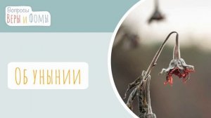 Об унынии. Вопросы Веры и Фомы