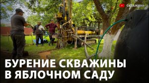 КОЛОДЕЦ и АБИССИНКА - не получились. Получилась скважина на песок в Новой Москве {1}