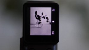 Fujifilm Instax Mini Evo Cinema. Новая Грань Совершенства