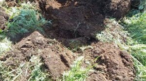 Коп с мд4030 и пиратом. Цена падает, не паниковать. Копаю железо с подписчиком. Металлокоп с MD 4030