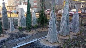 Живая и Мертвая вода (Хвойный ликбез. Лекция 10)