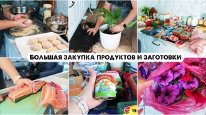 Закупка продуктов с ценами | Заготовки в морозилку | Новости | Солю рыбу | Покупки для сада