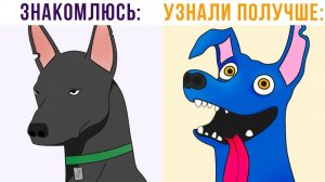 Я с любым новым другом))) Приколы