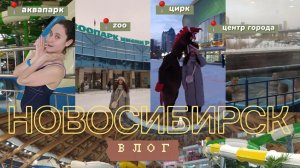 Новосибирск ВЛОГ | аквапарк