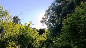 27.06 виды на Волгу, н. Услон.