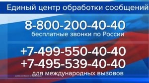 КАК ПОЗВОНИТЬ ПУТИНУ: ИНТЕРЕСНЫЕ ФАКТЫ О ГОРЯЧЕЙ ЛИНИИ С ПРЕЗИДЕНТОМ