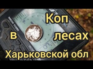 Коп 2025.Находки в лесах Харьковской обл.Поиск с Макро Мульти Крузером