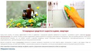 Как убрать влажность в доме народными средствами