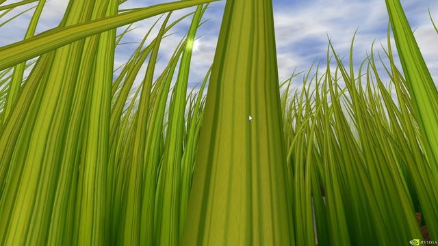 NVIDIA Grass Demo (2000)