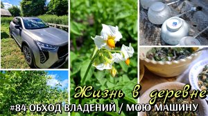 #84 обход плодово-ягодных насаждений / наконец мою машину / жизнь в деревне