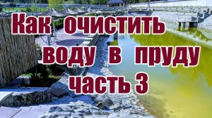 Как очистить воду в пруду (часть 3)