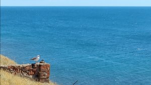 Катаем по морю катер, взрослым тоже по приколу