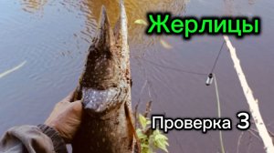 Рыбалка на таёжной реке. Удачи и неудачи. Проверка жерлиц-самоловок
