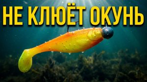 Почему НЕ КЛЮЁТ окунь летом — 6 ошибок, которые делают почти все