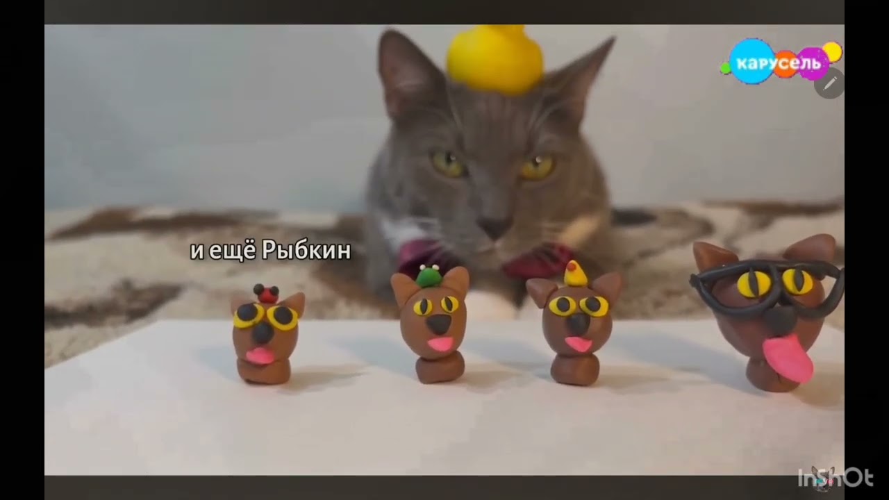 Эфир карусель брянск смотреть онлайн