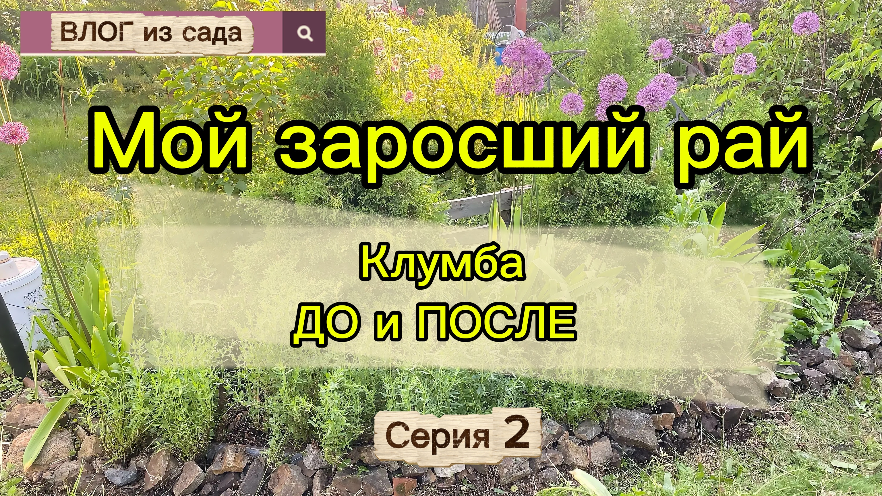 Дача оживает! Спасаю первую клумбу, болталка про карбонатную щелочную воду🌸 Серия 2