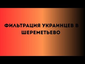 Фильтрация украинцев в Шереметьево #фильтрация #украина #россия