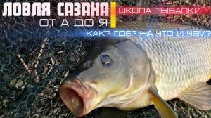 Ловля САЗАНА от А до Я. Знай и ЛОВИ речного силача. Школа рыбалки #рыбалка #сазан #карп