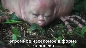 Эти Странные Существа Были ЗАПЕРТЫ на Годы и Происходит Кое-Что УЖАСАЮЩЕЕ! Документальный фильм