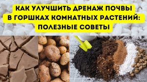 ДРЕНАЖ:ВИДЫ,СВОЙСТВА,ЗАЧЕМ ОН НУЖЕН?И ЧЕМ ОН СЛУЖИТ