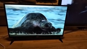 Телевизор Витязь 32 Smart tv
