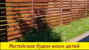 Житейские  будни  моих детей