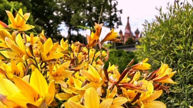 Путешествуем по Москве.Иследуем самые красивые места-26.06.2026 года.