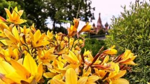 Путешествуем по Москве.Иследуем самые красивые места-26.06.2026 года.
