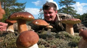 За грибами в Ладожские шхеры