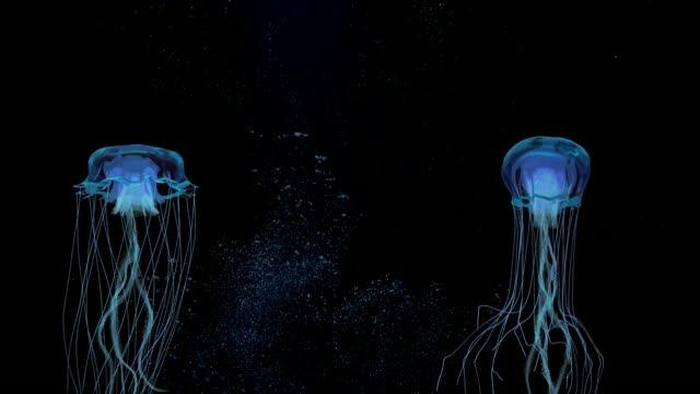 Терапия звуком: освобождение от телесных отпечатков стресса