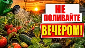 ПОЛИВАЕТЕ В ЖАРУ И ГУБИТЕ ОГОРОД? / 1 ОШИБКА — И РАСТЕНИЯ УМИРАЮТ ЗА 2 ДНЯ!