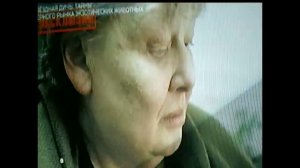 Тайган- ЭСКЛЮЗИВ ( РАССЛЕДОВАНИЕ ЖУРНАЛИСТОВ РЕН ТВ)#тайган #олегзубков#тайганкрым #паркльвовтайган