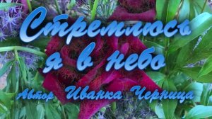 СТРЕМЛЮСЬ Я В НЕБО  Иванка Черница