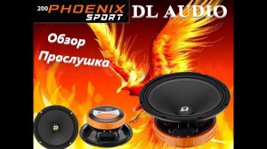 Эстрадная акустика DL Audio  Phoenix Sport 200 мм. Обзор и прослушка.