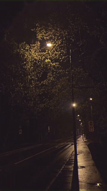 🌃☔🌧️