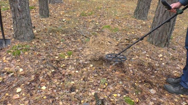 Тест на золото Металлоискателя Minelab X-Terra Pro шокирующий результат!