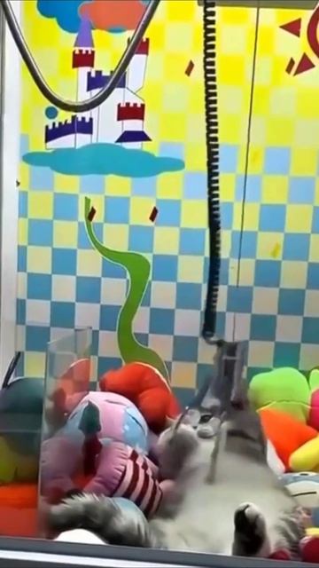 Где находится этот автомат смотреть онлайн