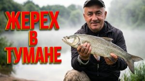 Охота за жерехом