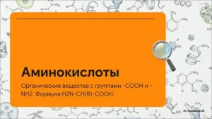 Химия 10 класс 19 АМИНОКИСЛОТЫ БЕЛКИ