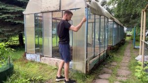 Меняем теплицу в череночник. Пересадка петунии. Высаживаем гортензии.