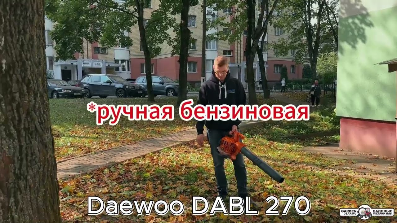Тест на Садовый пылесос бензиновый Daewoo DABL 270 смотреть онлайн