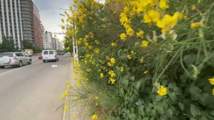 Из Хуалинг  Плаза до Вазисубани ...Варкетили...В подземном переходе.