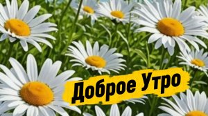 Доброе утро добра и настроения – красивые музыкальные открытки с пожеланиями