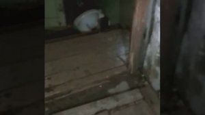 ЧУТЬ НЕ ВЫЗВАЛИ ПОЛИЦИЮ/ОНИ УКРАЛИ КАНДИЦИОНЕР И СПРЯТАЛИ ВСЁ ЭТО В ЗАБРОШЕННОМ ЗДАНИИ/ВЫШЛИ САМИ.