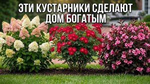 7 РАСТЕНИЙ КОТОРЫЕ СТОИТ ПОСАДИТЬ СЕЙЧАС — САД ПРЕОБРАЗИТСЯ