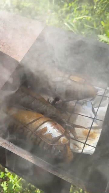 Рыбка смотреть онлайн