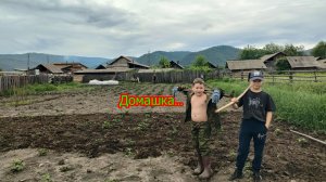 Домашка... Огород.