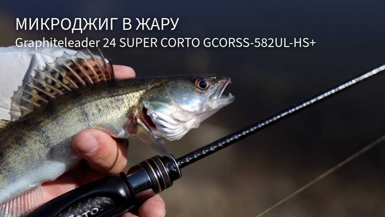 Микроджиг в жару. Graphiteleader 24 SUPER CORTO GCORSS-582UL-HS+ смотреть онлайн
