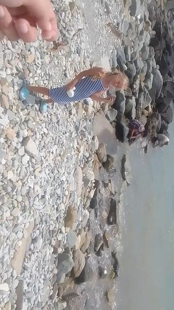VID_20260626_124346 смотреть онлайн