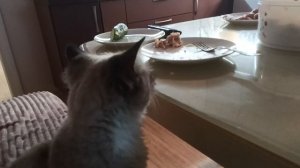 эх рыбка была вкусная